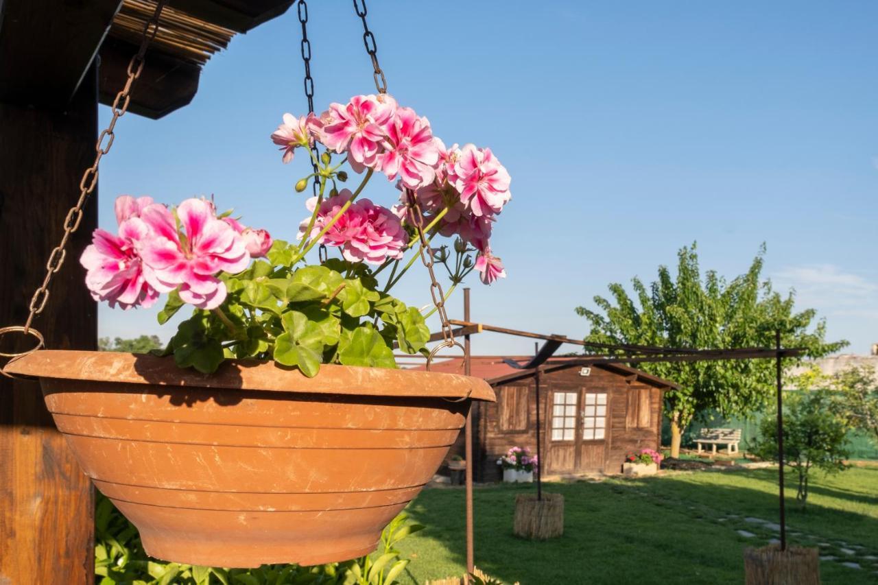A Lu Fanizza Bed & Breakfast Cutrofiano Exterior photo